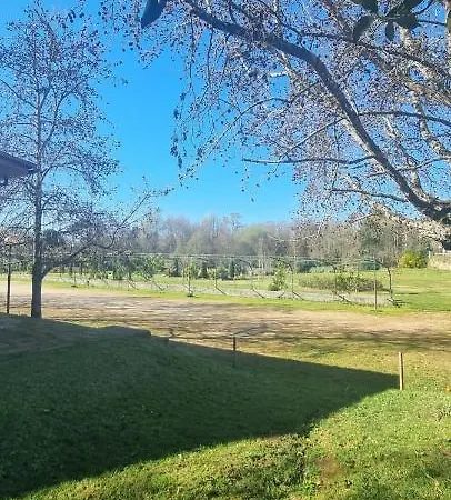 Casa Da Ferreirinha * Faldejaes