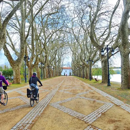 Casa Da Ferreirinha * Faldejaes