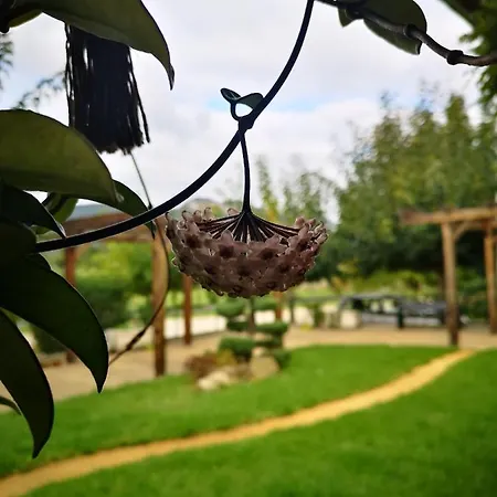 Casa Da Ferreirinha * Faldejaes