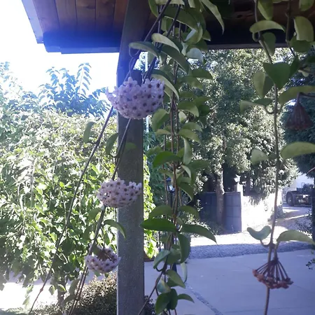 Casa Da Ferreirinha Casa di campagna *