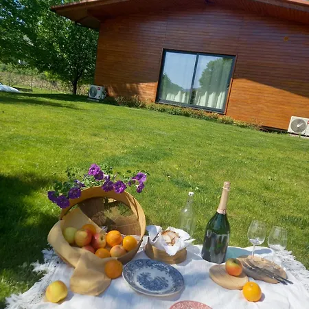 Casa Da Ferreirinha * Faldejaes