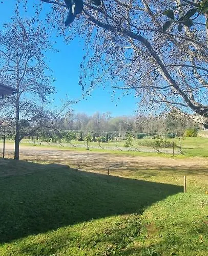 Casa Da Ferreirinha * Faldejaes