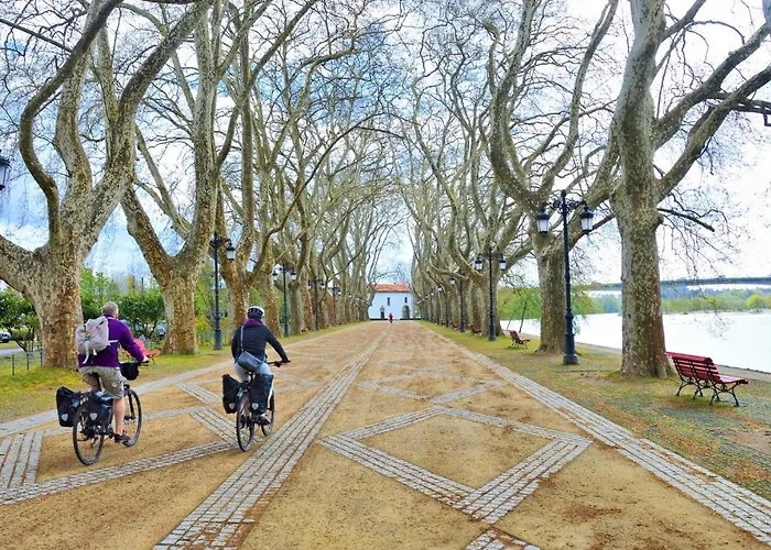 Casa Da Ferreirinha * Faldejaes