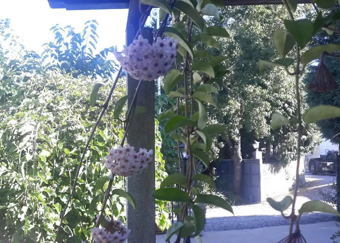 Casa Da Ferreirinha Εξοχικό σπίτι *